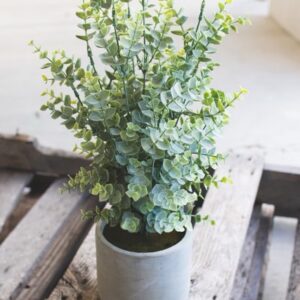 Artificial Boxwood in a Cement Pot by Kalalou