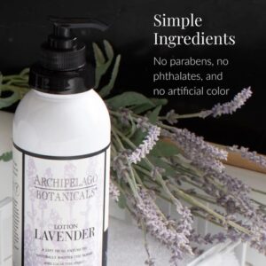 Lavender Body Lotion by Archipelago Botanicals